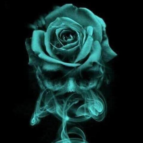 Meet your Posher, Kelsie - Picture 1 of 1